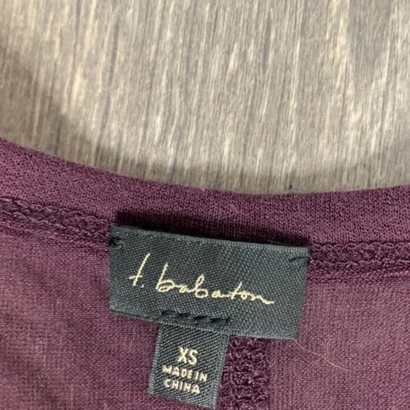 Aritzia Babaton T-shirt Top Sheer Mesh Short Sleeve Crew neck Maroon Size XS - Picture 7 of 9